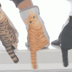 cute cartoon cat gloves #YYL-37