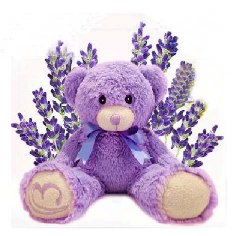 Authentic Australia Lavender Bear ,Bridestowe Lavender Heat Bear, Teddy Bear Plush Toys, Purple Bear