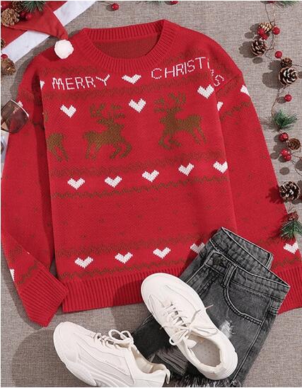Women's Christmas Sweater Pullover Ugly Sweater Jumper Knitted Animal Stylish Casual Long Sleeve Sweater Cardigans Crew Neck Fall Winter