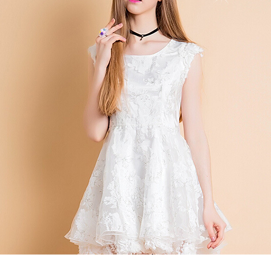 Sweet Embroidered Lace Skirt White Sleeveless Dress