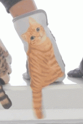 cute cartoon cat gloves #YYL-37