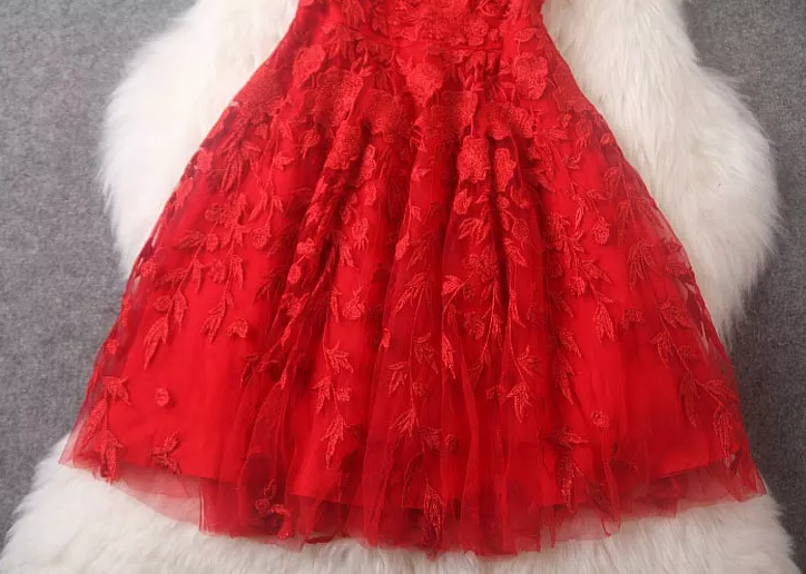 Luxury Designer Embroidery Sleeveless Dress - Red on Luulla